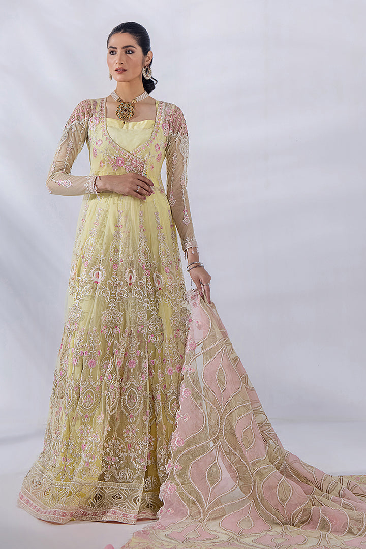 Afreen By Malook Embroidered Organza Suits Unstitched 4 Piece MLK23AF Elise - Festive Collection